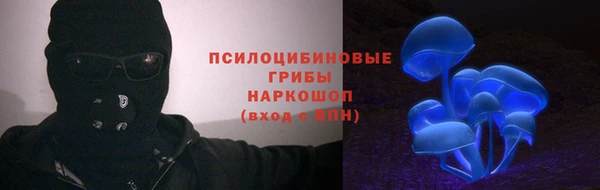 ПСИЛОЦИБИНОВЫЕ ГРИБЫ Фурманов