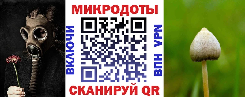 Псилоцибиновые грибы Psilocybine cubensis  kraken как зайти  Боготол 